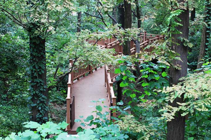 china plastic wood fence